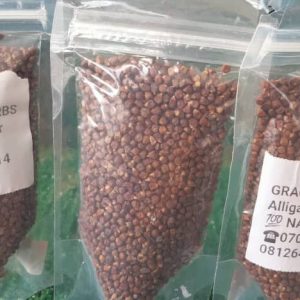 Alligator pepper 1kg N20000 500g N10000 250g N5000 100g N2000 50g N1000