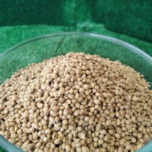 Coriander 1kg N8000 500g N4000 250g N2500 100g N1500